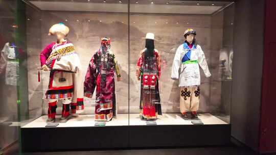 青海西藏四川甘南各地藏族服饰藏服藏袍