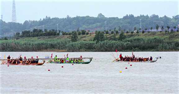 端午龙舟赛