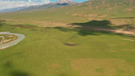 中国新疆巴音布鲁克草原与羊群视频素材模板下载