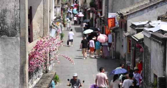 大鹏所城 大鹏守御千户所城 名胜古迹