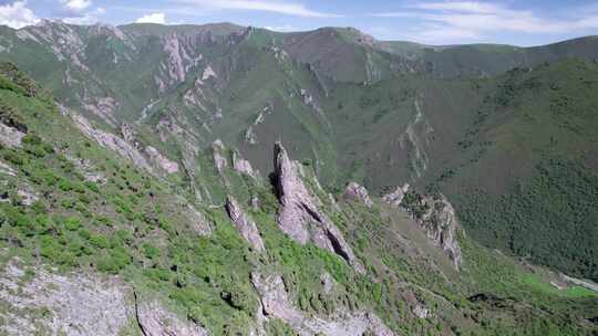 仓家峡林场航拍