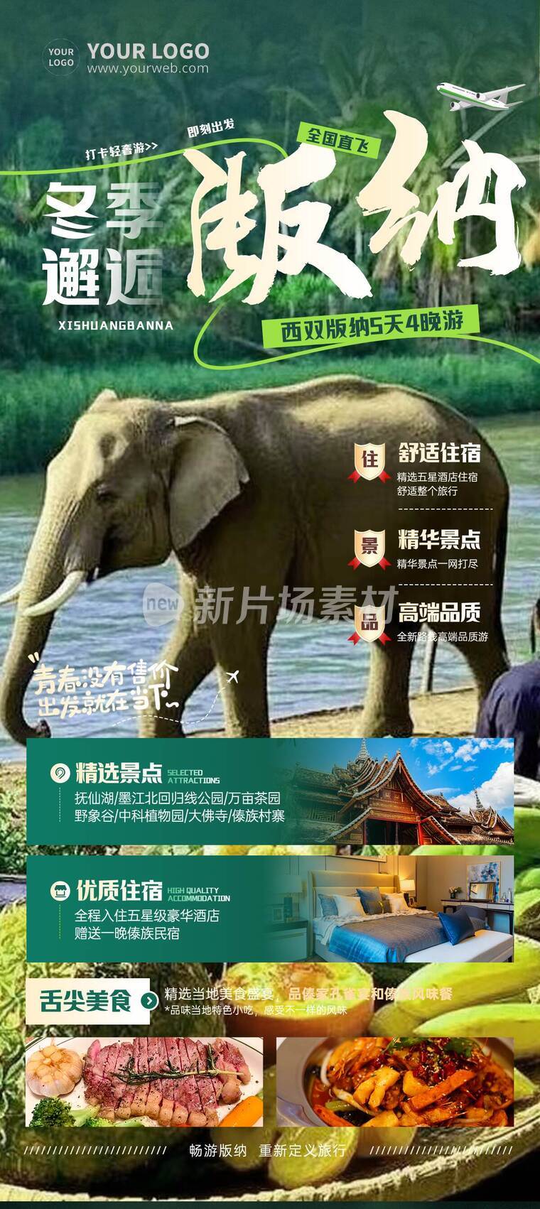 清新风西双版纳旅游宣传详情长图