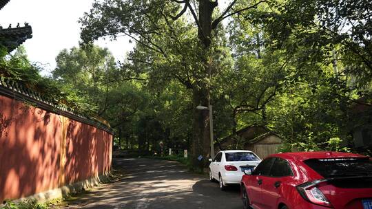 杭州临安西天目山禅源寺