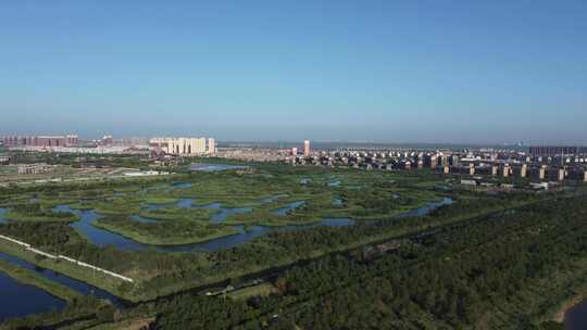 天津市静海区团泊镇生态乡村风光