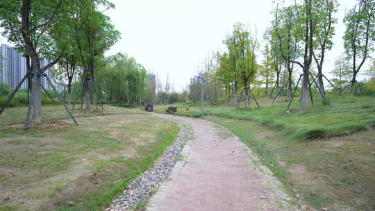 武汉光谷三路湿地公园风景