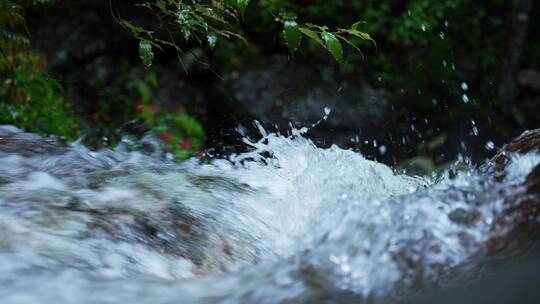 高清4K降水雨季山泉瀑布流水升格视频素材