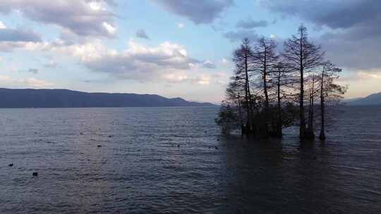 湖泊水面树木远景风景