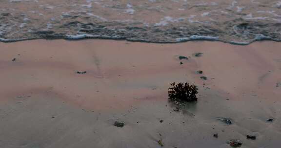 大海日出霞光沙滩海浪空镜