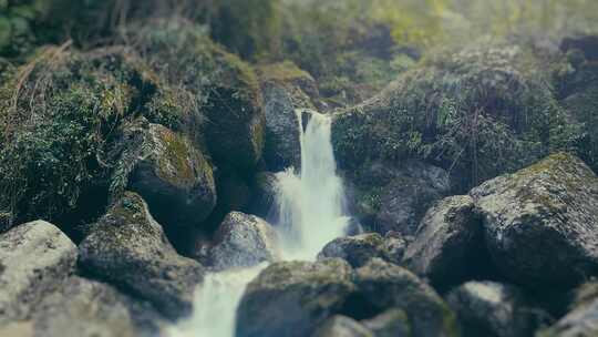 森林里的小溪水流瀑布