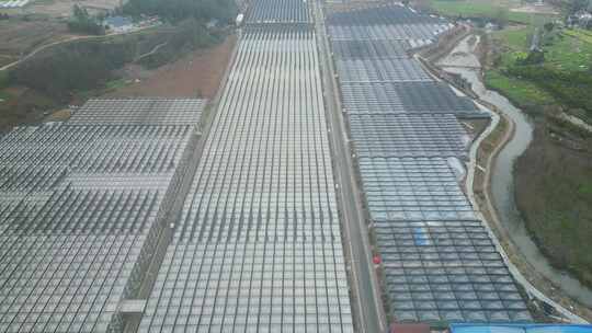 现代农业大棚种植基地航拍