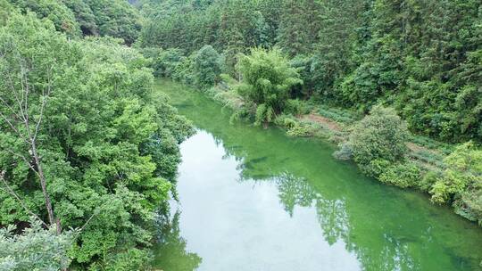 福建武夷山龙川大峡谷茶山坳朱元坝水流合集