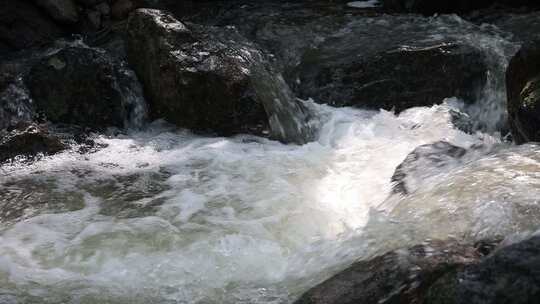 森林中 山泉小溪水