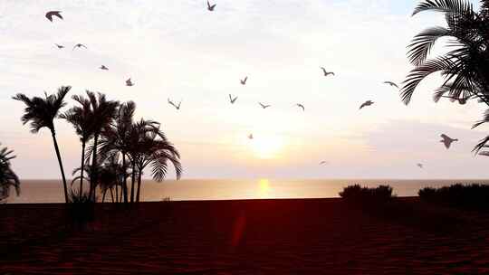 夕阳下的椰林沙滩海鸥