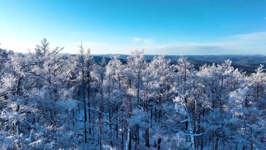 林海雪原 唯美高山雾凇