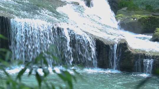 绿叶 河流 水流 小河 碧绿水面 7804