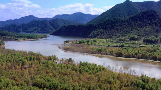 航拍脘南川藏线周边水杉树林全景