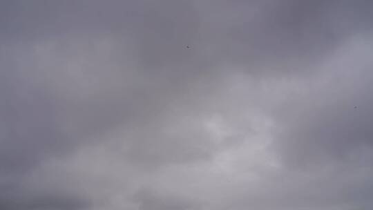 雨后天空阴天燕子飞来飞去视频素材模板下载