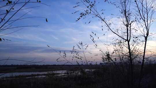 天空 夕阳 树木 河流 晚霞 阳光