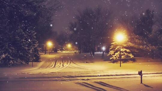 雪花暴雪飘落在夜晚城市街头街道马路