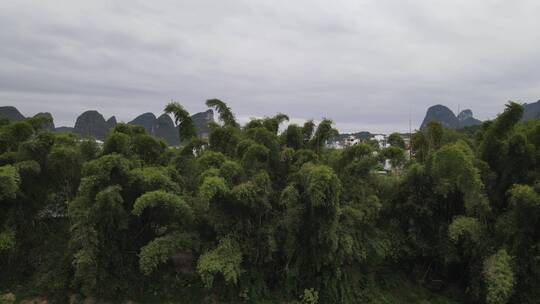 广西桂林十里画廊山水风光