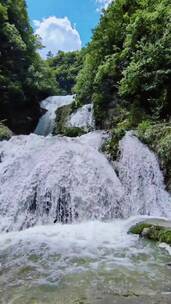 有幸拍到了雨后透明的美景，治愈系风景