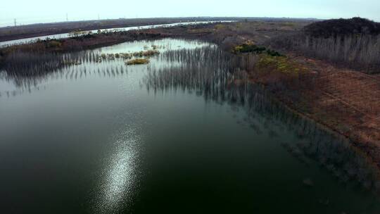 4K航拍秋天晴天飞越河道边公路树林和湖泊