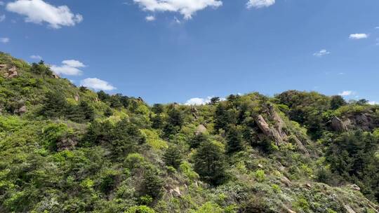 北京春日山脚下远望群山绿意葱茏视频素材模板下载