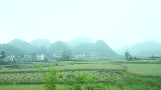 贵州 春天 风景