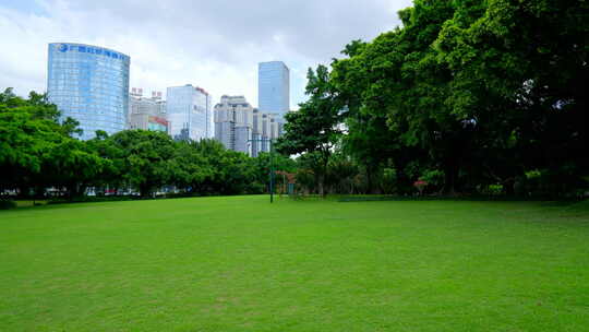 树林 森林 草坪 草地 绿地 榕树