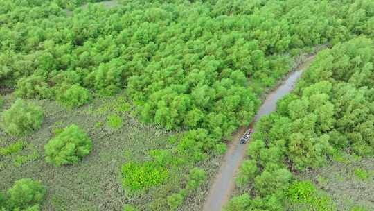 4k广东江门滨海新区银湖湾湿地红树林航拍