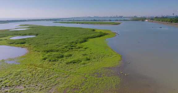 杭州钱塘大湾区湿地公园航拍视频