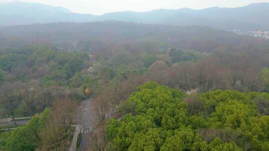 杭州植物园春天风景视频素材