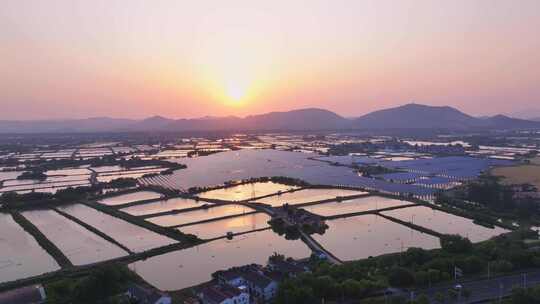 夕阳下的光伏太阳能发电站