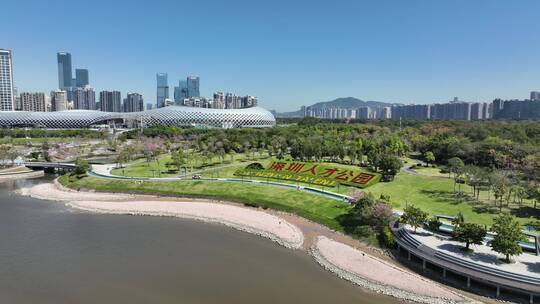 深圳 深圳人才公园 深圳地标 深圳湾 后海