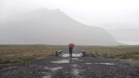 雨伞，下雨，站立，水坑