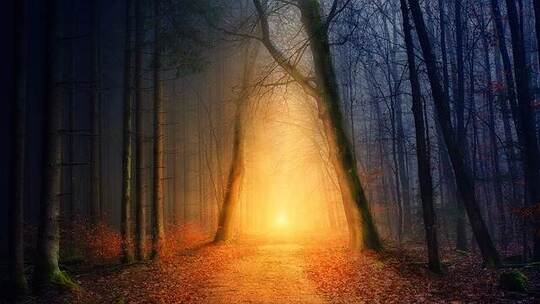 丽水夜话 神秘 山城 夜话 幽深 微剧