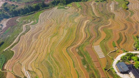 4k航拍春日山间风光梯田空镜头