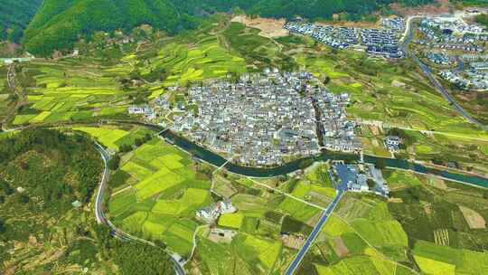 春季油菜花合集-黄山卢村