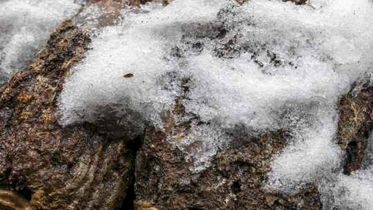 冰雪消融冰雪融化