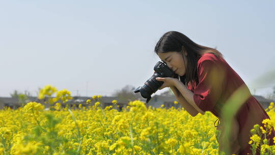 春天中国女性美女在油菜花田地中玩耍