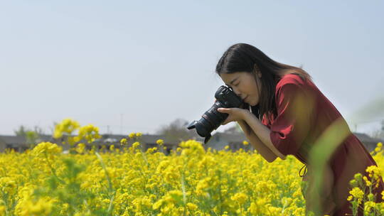 春天中国女性美女在油菜花田地中玩耍视频素材模板下载
