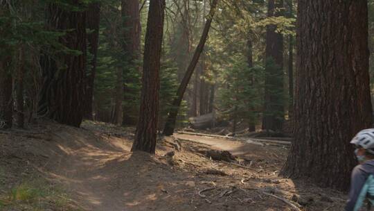 山地自行车手在森林里骑行视频素材模板下载