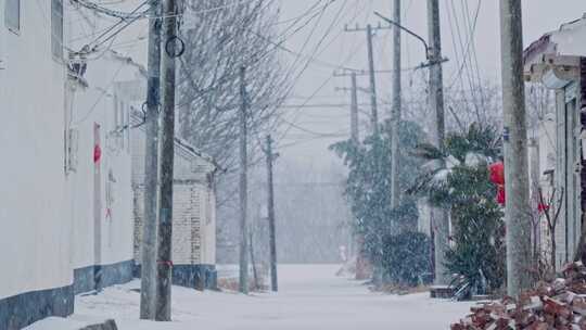 农村下雪过年氛围道路