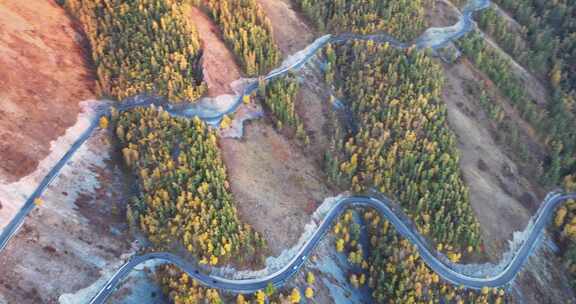 新疆白哈巴盘山公路秋景