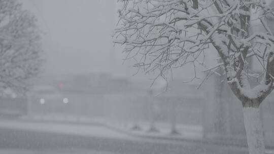 城市雪景 冬天雪景