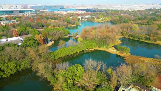 杭州西湖区西溪湿地自然风景视频素材视频素材模板下载