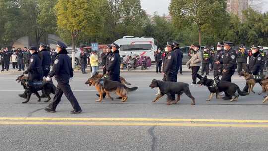 大型活动武警执勤警犬1