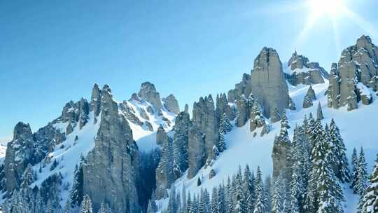 阳光照耀下的雪后山林风景