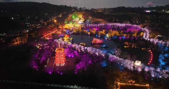 航拍武汉东湖樱花园夜景灯光秀樱花夜樱