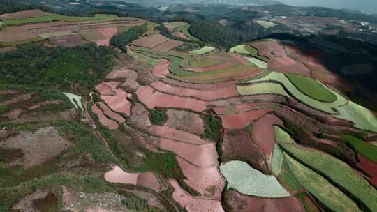 云南旅游农业宣传风光东川红土地田地色块